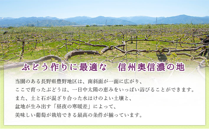 ぶどう作りに最適な、信州奥信濃の地