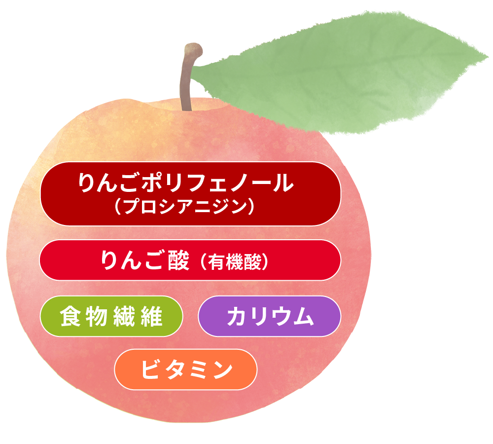 りんごの栄養成分