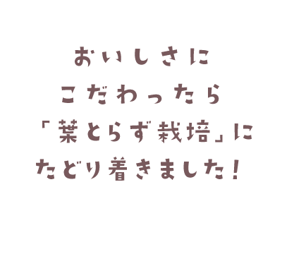 おいしさにこだわったら「葉とらず栽培」に辿り着きました