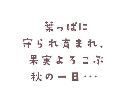 葉っぱに守られ育まれ、果実よろこぶ秋の一日・・・