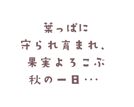 葉っぱに守られ育まれ、果実よろこぶ秋の一日・・・