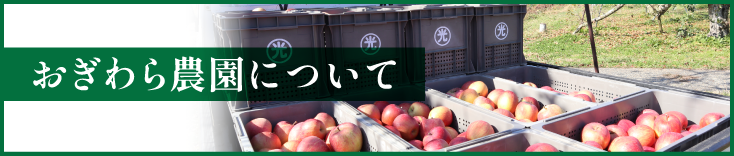 おぎわら農園について