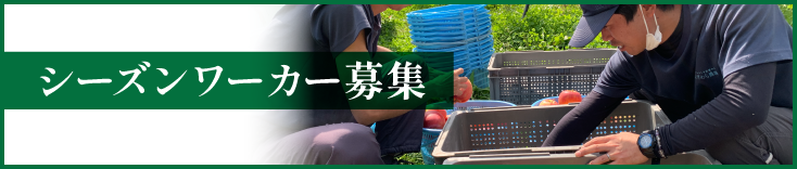 シーズンワーカー募集
