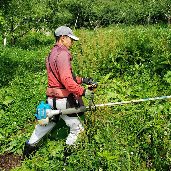 雑草は、除草剤は一切使わず機械で刈り取りを行っています