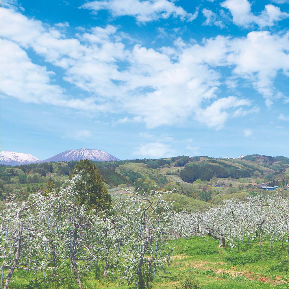 信州奥信濃の風景