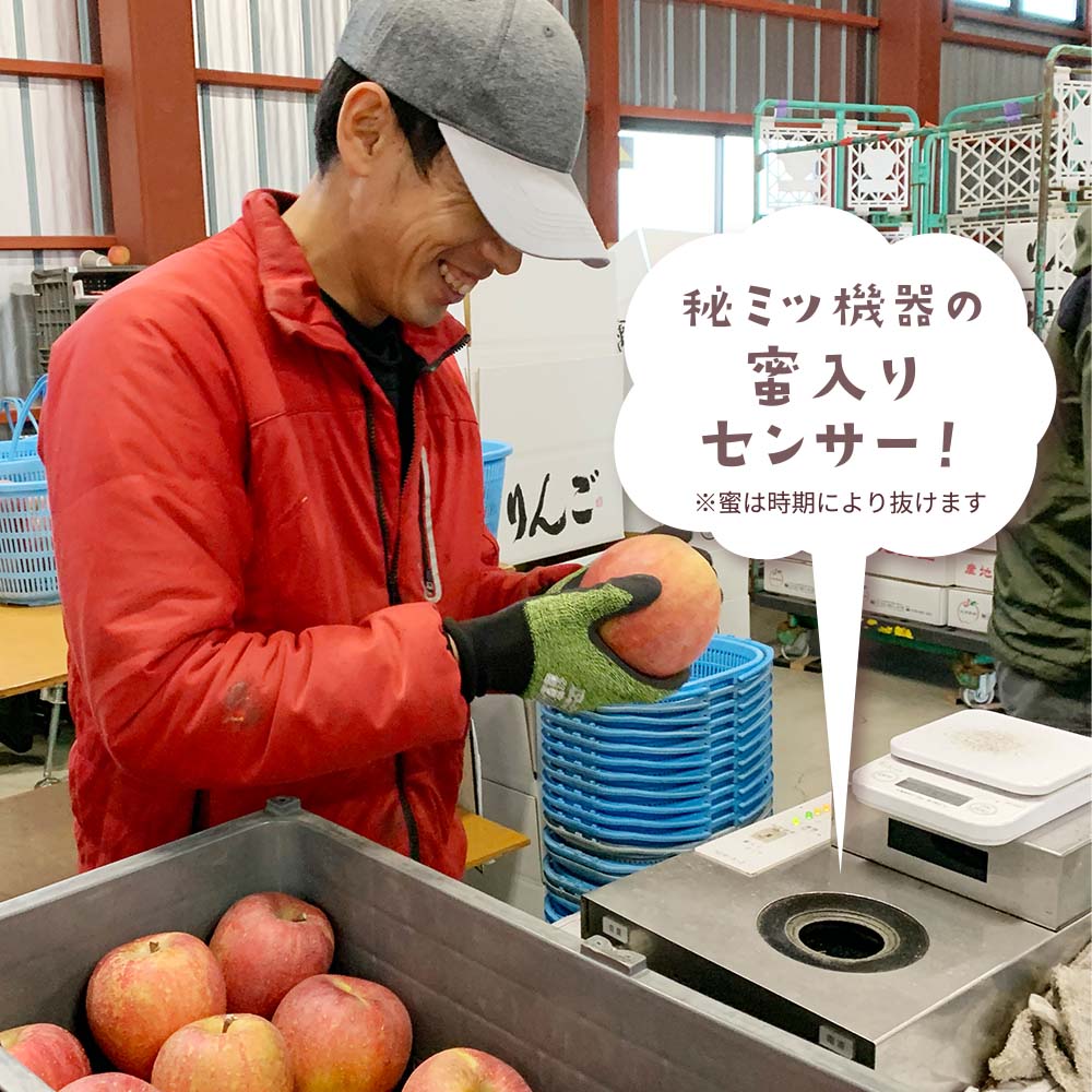 葉とらずサンふじの出荷の様子と蜜入りセンサー