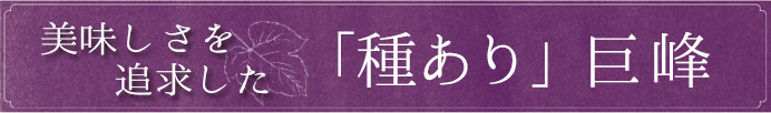 美味しさを追求した「種あり」巨峰
